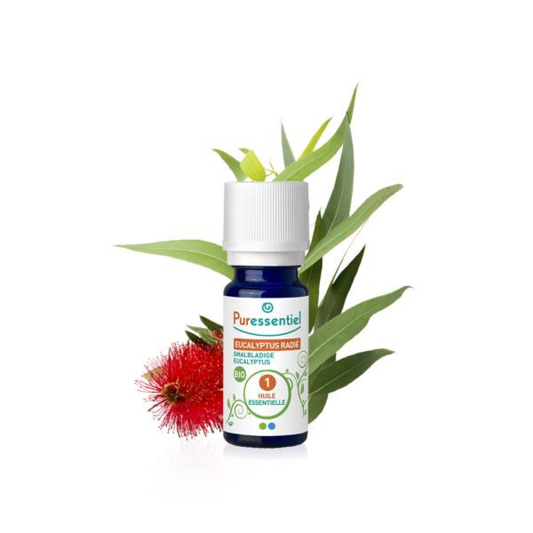 PURESSENTIEL HUILE ESSENTIELLE EUCALYPTUS RADIE