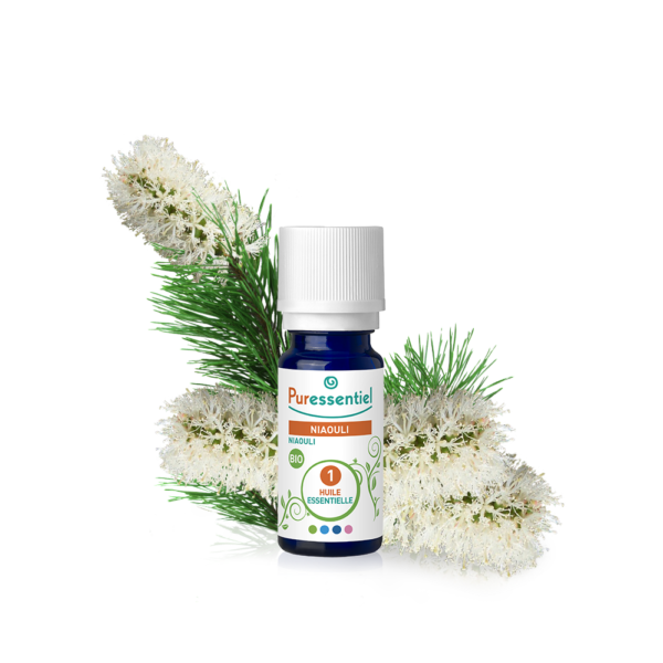 PURESSENTIEL HUILE ESSENTIELLE NIAOULI BIO 10ML